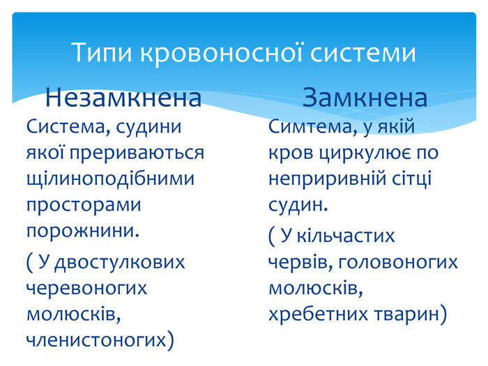Типи кровоносної системи. Незамкнена. Система, судини якої прериваються щілиноподібними просторами порожнини. ( У двостулкових черевоногих молюсків, членистоногих)Замкнена. Симтема, у якій кров циркулює по неприривній сітці судин.( У кільчастих червів, головоногих молюсків, хребетних тварин)