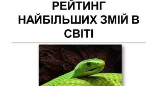 Рейтинг найбільших змій в світі. Презентація