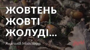 Анатолій  Мойсієнко ,,Жовтень жовті жолуді...”
