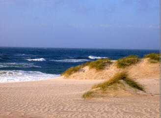 0401amnz-768f-328x240.jpg