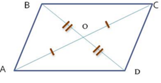 0401an8m-444d-332x172.png