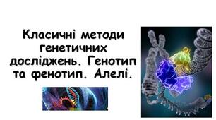 Класичні методи генетичних досліджень. Генотип та фенотип. Алелі.