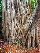 0401ar6u-51d3-89x119.jpg