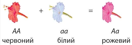 0401au95-9736-520x179.jpg