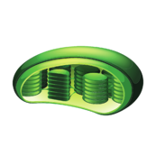 0401axq1-e5e0-173x173.png
