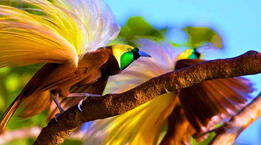 0401ay19-725a-261x145.jpg