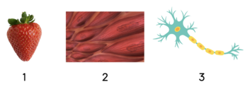 0401ay1l-b481-346x130.png