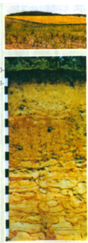 0401ay4i-52cb-88x243.png