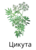 0401b1rr-15f6-72x100.png