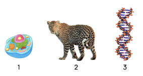 0401b1tk-410b-284x152.png