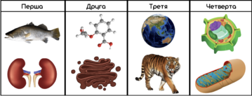 0401b26x-8a21-359x137.png