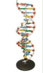 0401b283-3e87-88x148.png