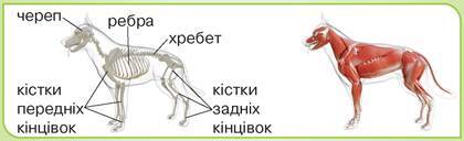 0401b2ks-cc0e-500x152.jpg