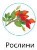0401b35e-b20b-75x102.png