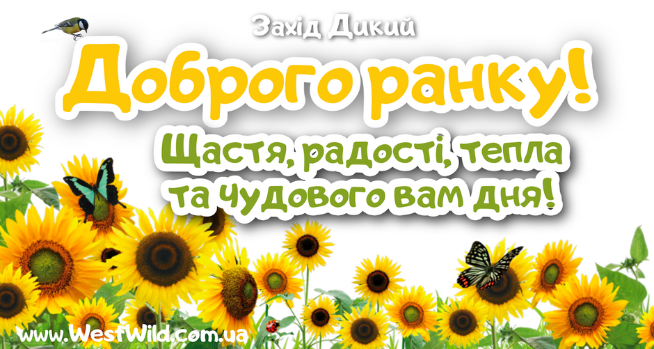Прикольні картинки вітання Доброго Ранку та Гарного Дня - West Wild | Захід Дикий
