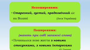 Поширені й непоширені однорідні члени речення.