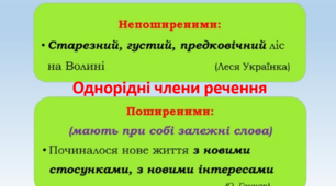 Поширені й непоширені однорідні члени речення.