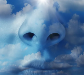 0401b5nr-147c-267x241.png