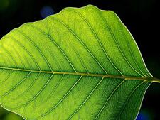 0401b78v-44d3-700x525.jpg
