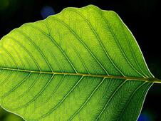 0401b78v-44d3-700x525.jpg