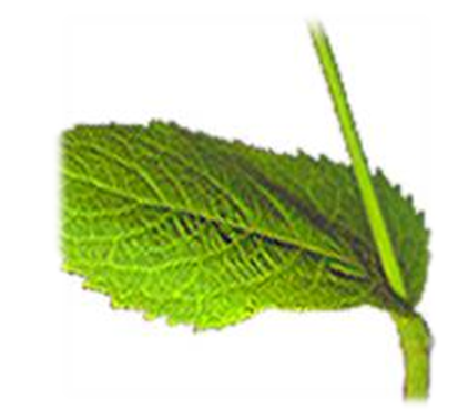 0401bd77-b45c-422x379.png