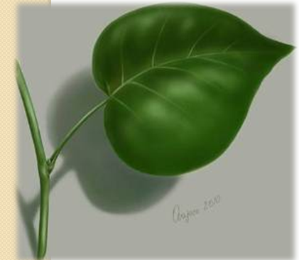 0401bd7i-1f9a-421x366.png