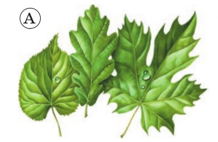 0401bd9q-89d7-218x142.png