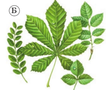 0401bda0-6345-208x178.png