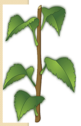 0401bdfs-34ce-272x422.png