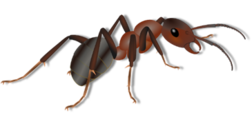 0401bf1c-354a-252x126.png