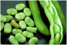0401bfo4-eb06-219x146.png