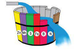 0401bg6c-b536-195x130.png