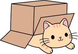 Cat in a Box | Shadow Cats