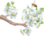 0401bl1o-94ba-64x52.png