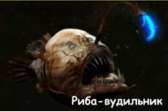 0401blm7-dbd7-333x219.png