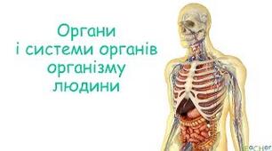 Будова тіла людини. Самостійна робота