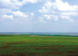 0401bnbd-c506-253x183.png