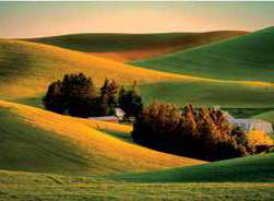 0401bnbk-0416-251x184.png
