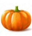 0401bo14-a784-105x119.png