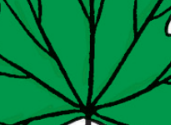 0401boap-92b2-171x125.png