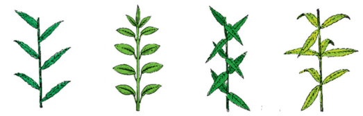 0401boet-ff57-523x168.png