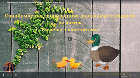 0401boq2-42fa-461x259.png
