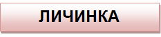 0401bpki-6fd8-233x54.png
