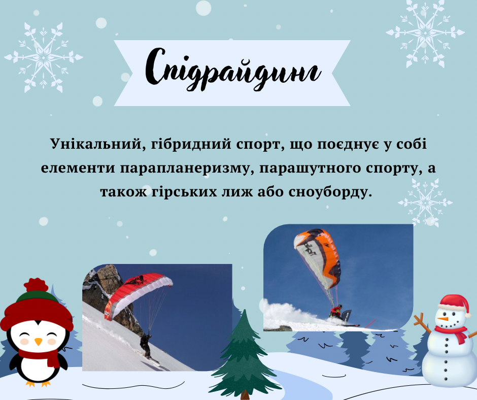 Презентація на тему Зимові види спорту Презентація Фізична культура