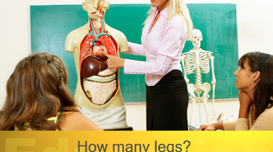 Презентація "How many legs? Lessons 4-5"