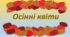 Презентація для дошкільнят "Осінні квіти"