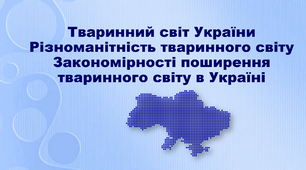 Презентація з географії 8 клас. "Тваринний світ України. Різноманітність тваринного світу. Закономірності поширення тваринного світу в Україні"