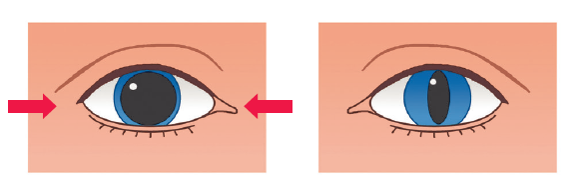 0401btl0-f7ab-584x187.png