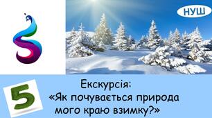 Презентація на тему:  «Як почувається природа мого краю взимку?»( Екскурсія)
