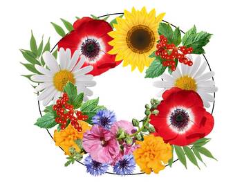 0401bvri-43b9-350x263.jpg